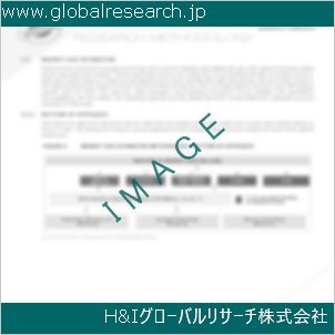 グローバルリサーチ調査資料のイメージ